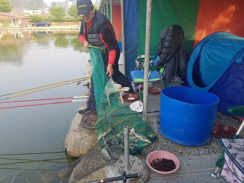 경기도 안성 거청낚시터 붕어조황 4월 30일 (유료터정보 - 유료터점주조황)