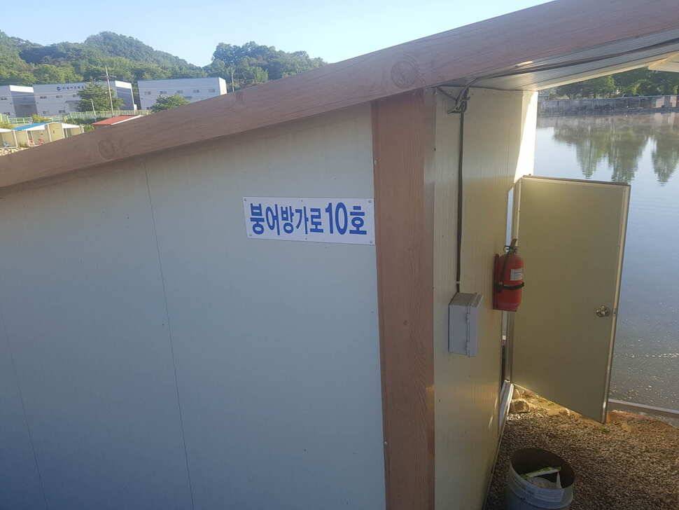 만수위의 거청낚시터 가족낚시터 붕어조황 5월 26 (유료터정보 - 유료터점주조황)