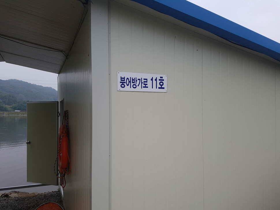 만수위의 거청낚시터 가족낚시터 붕어조황 6월 22 (유료터정보 - 유료터점주조황)