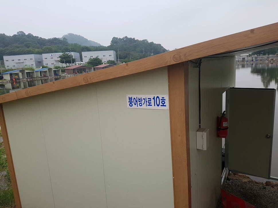 만수위의 거청낚시터 가족낚시터 붕어조황 6월 22 (유료터정보 - 유료터점주조황)