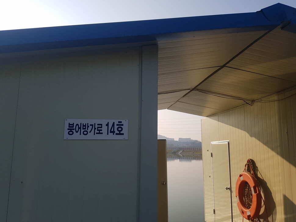 경기도 안성 거청낚시터 붕어조황 5월 03 (유료터정보 - 유료터점주조황)