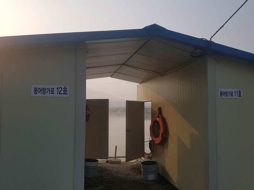 경기도 안성 거청낚시터 붕어조황 5월 01 (유료터정보 - 유료터점주조황)