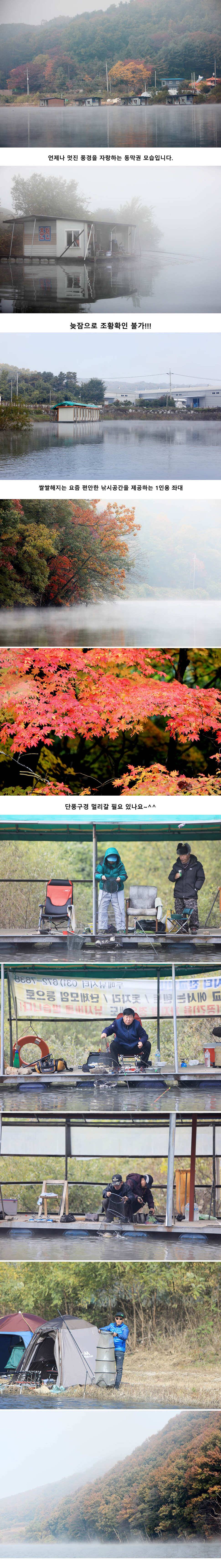 안성 두메낚시터 10월24일 조황안내 (유료터정보 - 유료터점주조황)