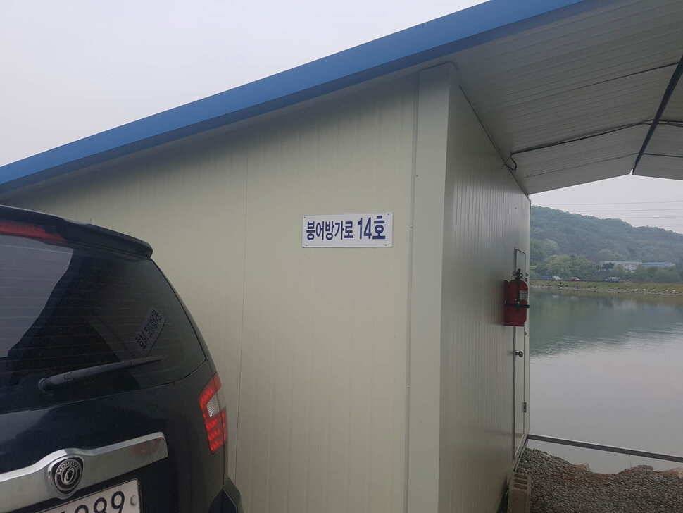 수위변동 없는 낚시터 5월 11일 붕어조황 (유료터정보 - 유료터점주조황)