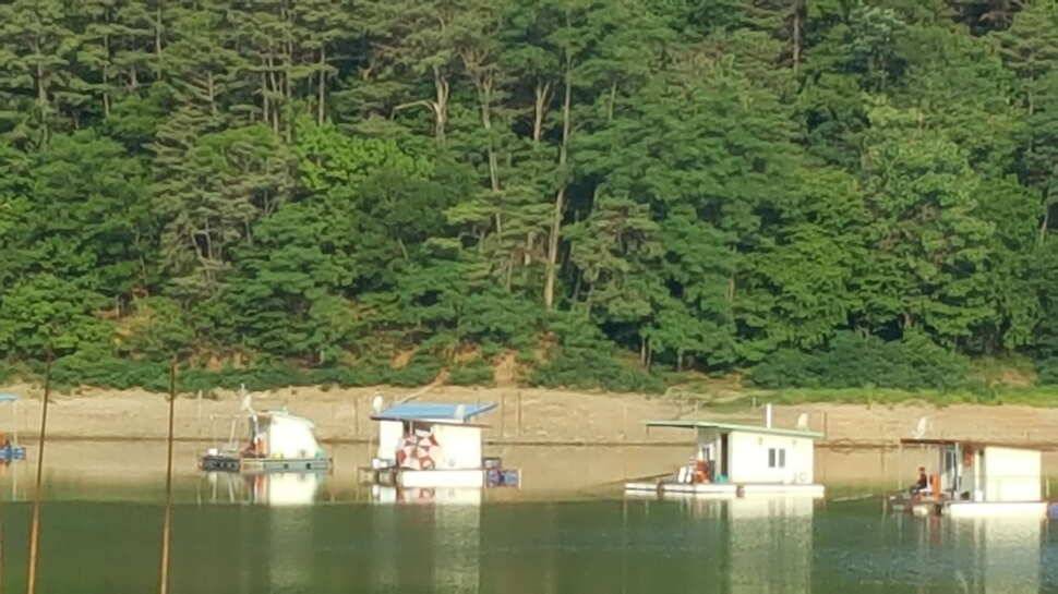 어우실지 주말조황입니다 (유료터정보 - 유료터점주조황)