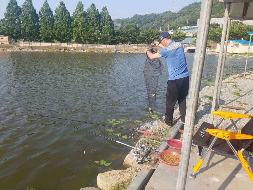 만수위의 거청낚시터 붕어조황 6월 19 (유료터정보 - 유료터점주조황)
