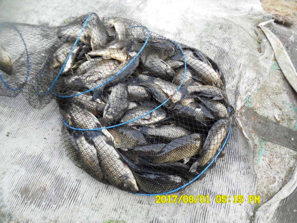 경주동산낚시터 지난주 대박치신분들 (유료터정보 - 유료터점주조황)