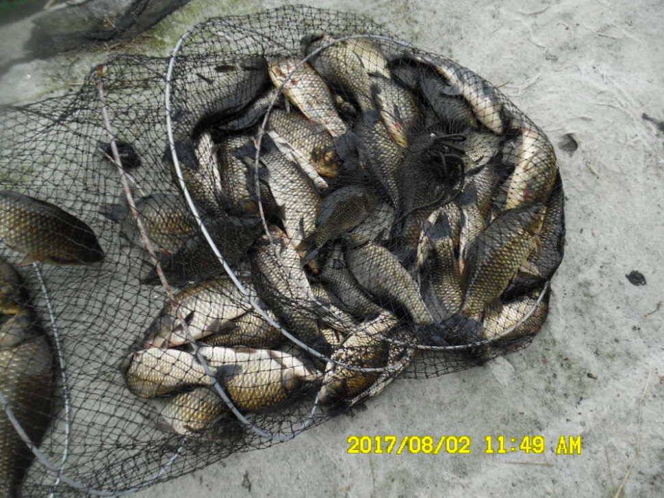 경주동산낚시터 지난주 대박치신분들 (유료터정보 - 유료터점주조황)