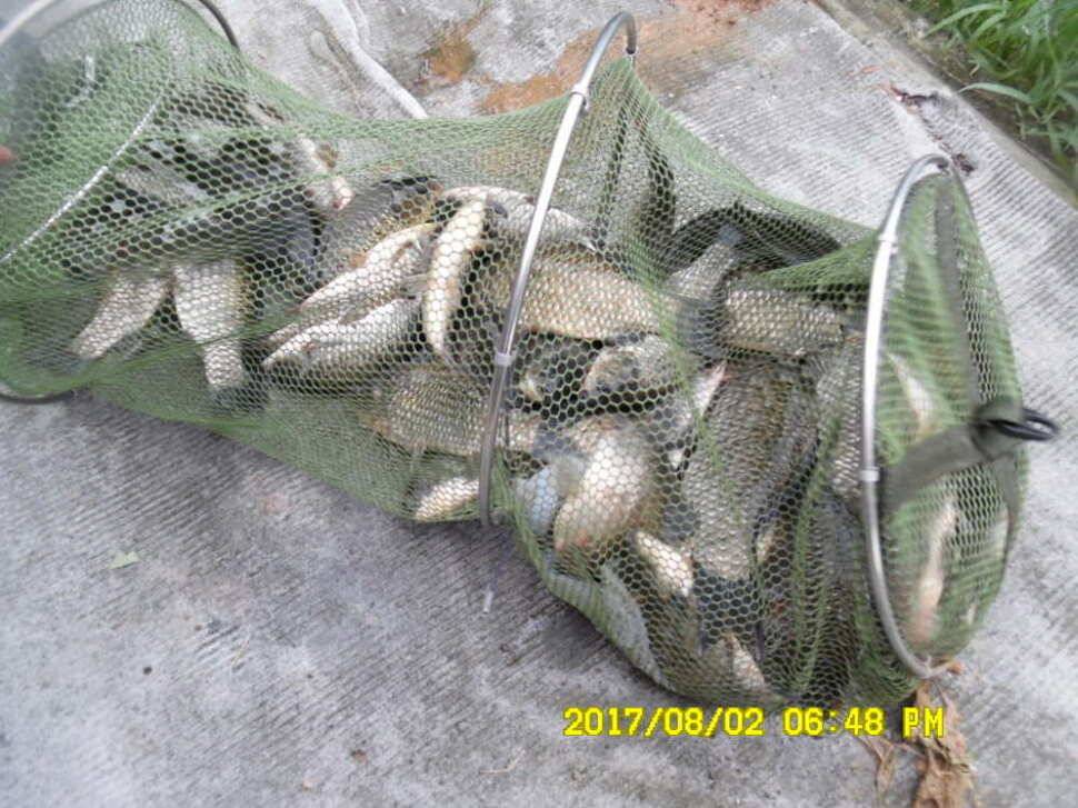 경주동산낚시터 지난주 대박치신분들 (유료터정보 - 유료터점주조황)