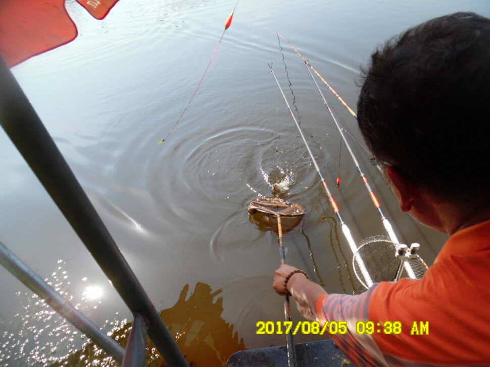 경주동산낚시터 지난주 대박치신분들 (유료터정보 - 유료터점주조황)