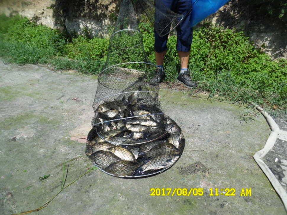 경주동산낚시터 지난주 대박치신분들 (유료터정보 - 유료터점주조황)