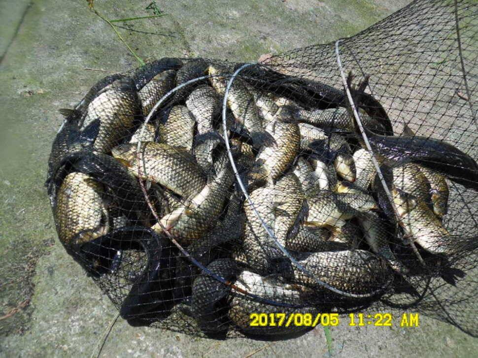 경주동산낚시터 지난주 대박치신분들 (유료터정보 - 유료터점주조황)