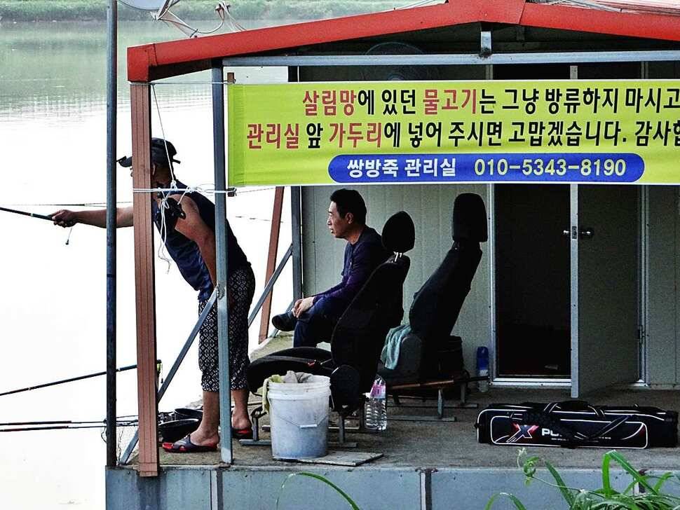 경기도 포천 쌍방죽낚시터 8월 4일 소식 (유료터정보 - 유료터점주조황)