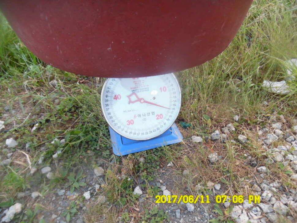 경주 동산낚시터 초보조사님이 대형사고를 (유료터정보 - 유료터점주조황)