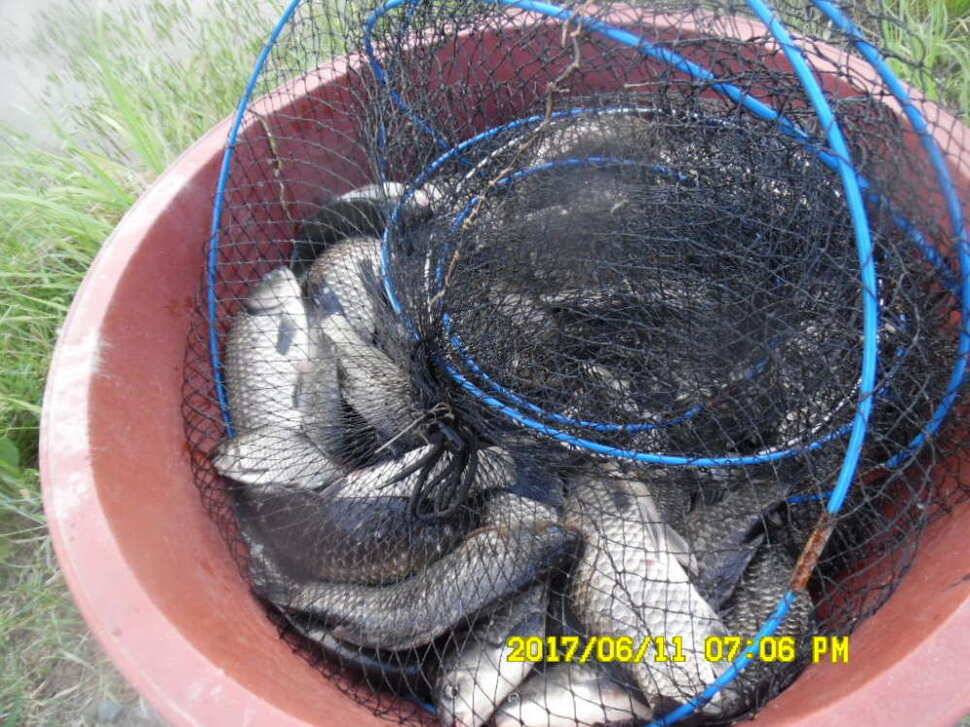 경주 동산낚시터 초보조사님이 대형사고를 (유료터정보 - 유료터점주조황)