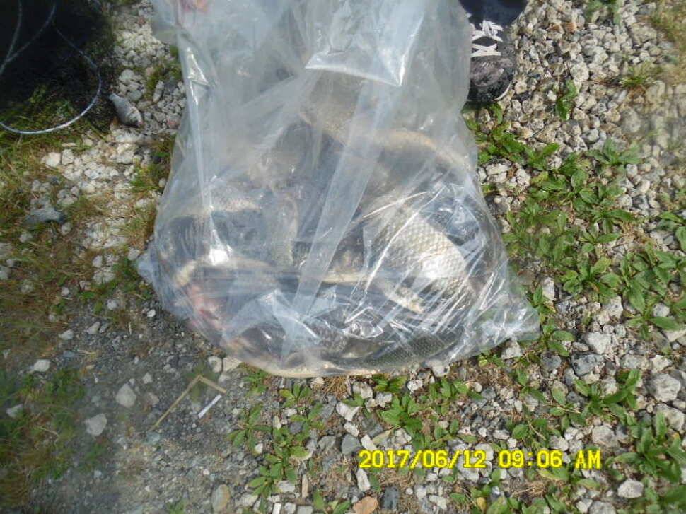 경주 동산낚시터 초보조사님이 대형사고를 (유료터정보 - 유료터점주조황)