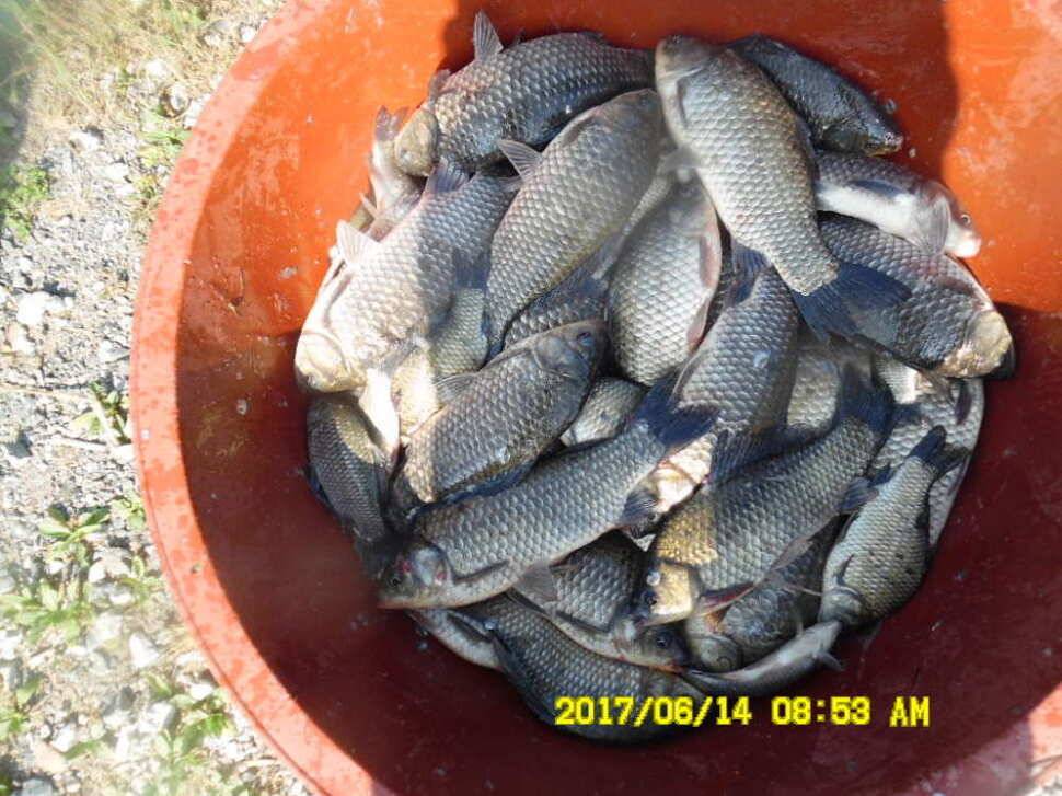 경주 동산낚시터 초보조사님이 대형사고를 (유료터정보 - 유료터점주조황)