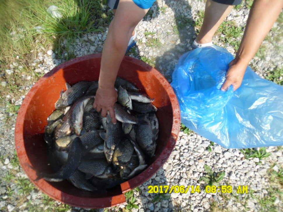 경주 동산낚시터 초보조사님이 대형사고를 (유료터정보 - 유료터점주조황)