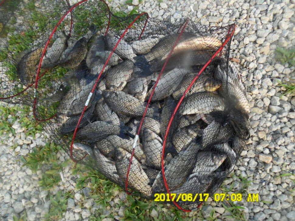 경주 동산낚시터 초보조사님이 대형사고를 (유료터정보 - 유료터점주조황)