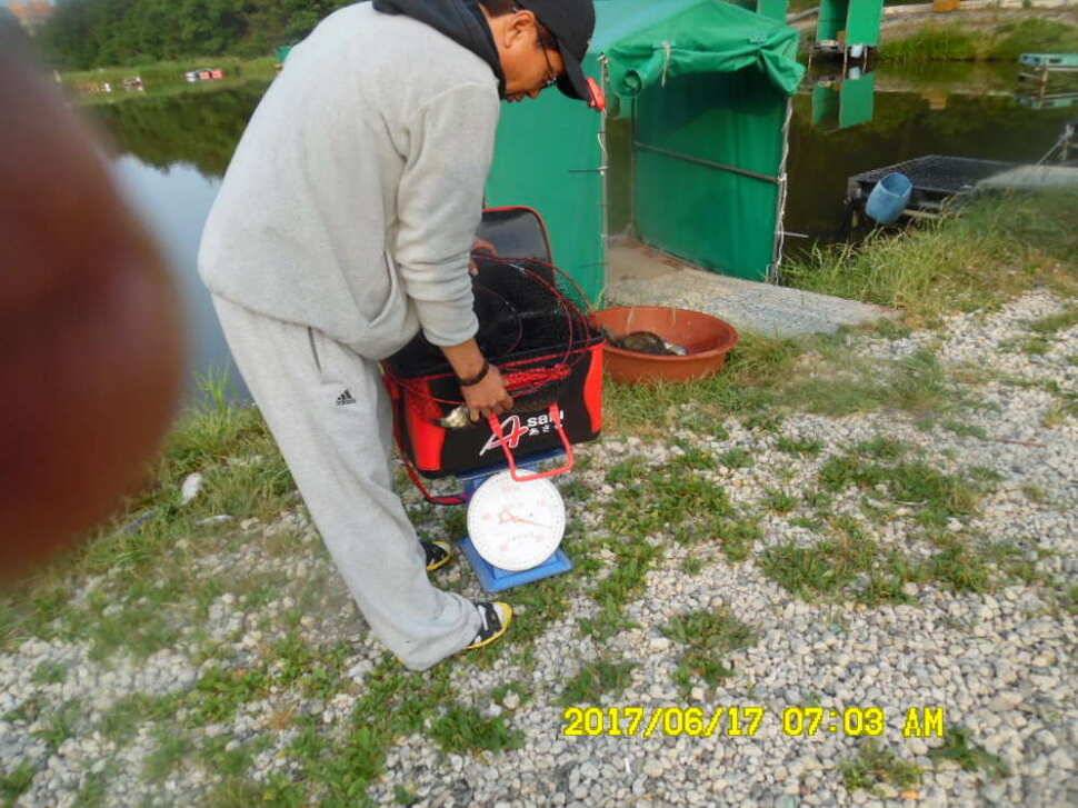 경주 동산낚시터 초보조사님이 대형사고를 (유료터정보 - 유료터점주조황)