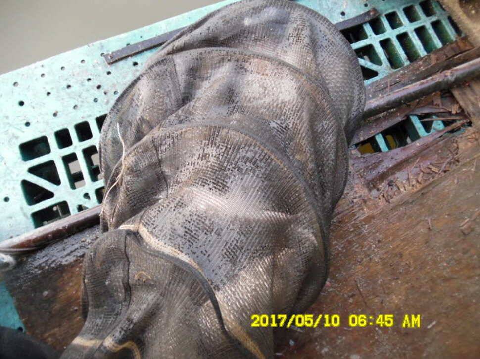 경주 동산낚시터 지난주 조황 (유료터정보 - 유료터점주조황)