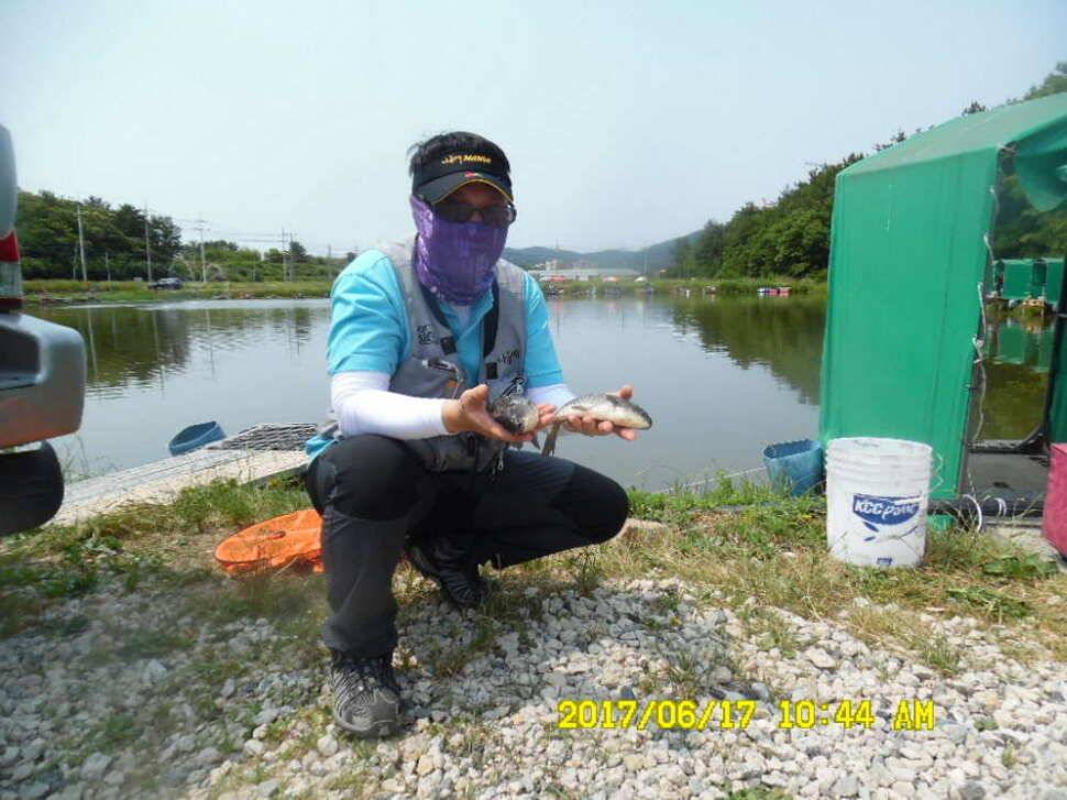 경주 동산낚시터 초보조사님이 대형사고를 (유료터정보 - 유료터점주조황)