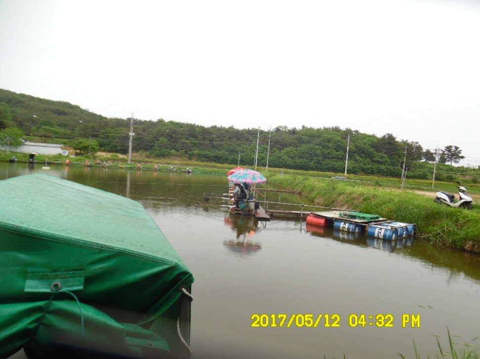 경주 동산낚시터 지난주 조황 (유료터정보 - 유료터점주조황)