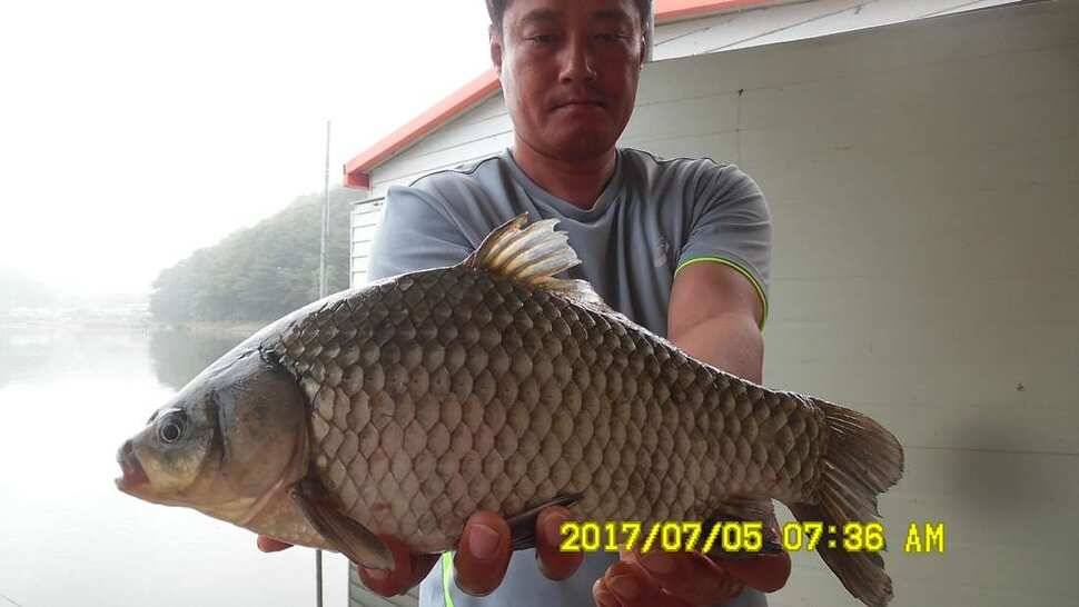 반제낚시터 4짜소식 어제도 오늘도 (유료터정보 - 유료터점주조황)