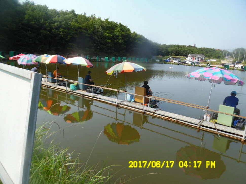 경주 동산낚시터 초보조사님이 대형사고를 (유료터정보 - 유료터점주조황)