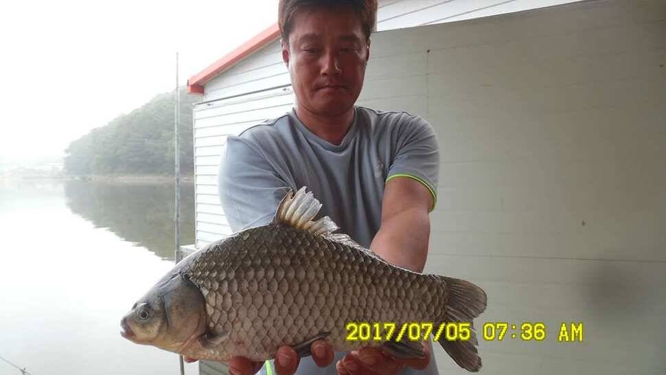 반제낚시터 4짜소식 어제도 오늘도 (유료터정보 - 유료터점주조황)