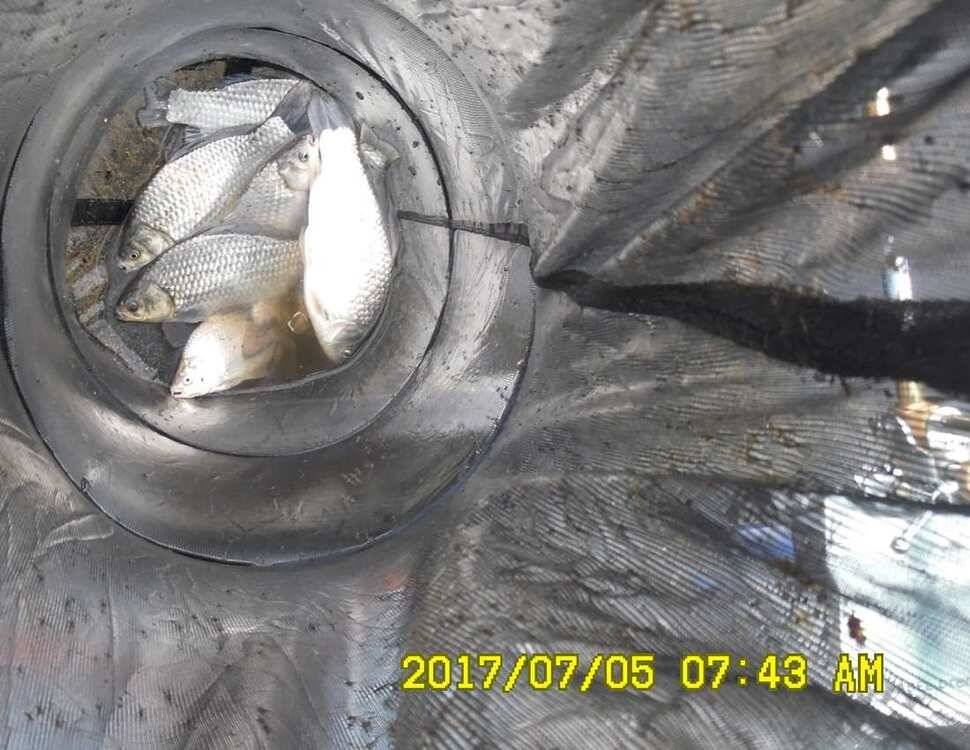 반제낚시터 4짜소식 어제도 오늘도 (유료터정보 - 유료터점주조황)