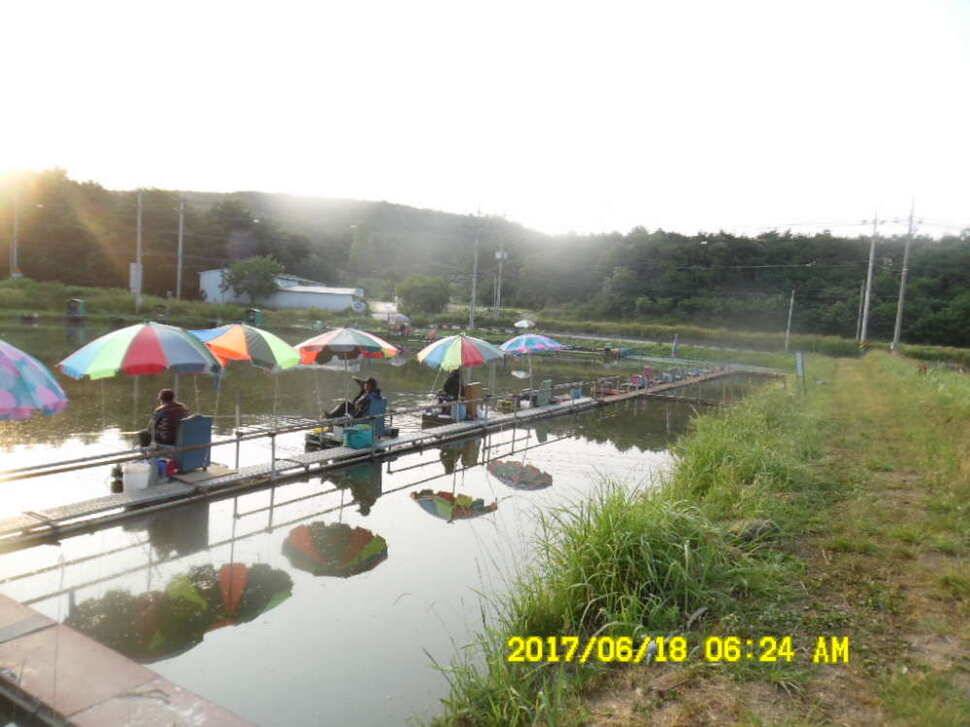 경주 동산낚시터 초보조사님이 대형사고를 (유료터정보 - 유료터점주조황)