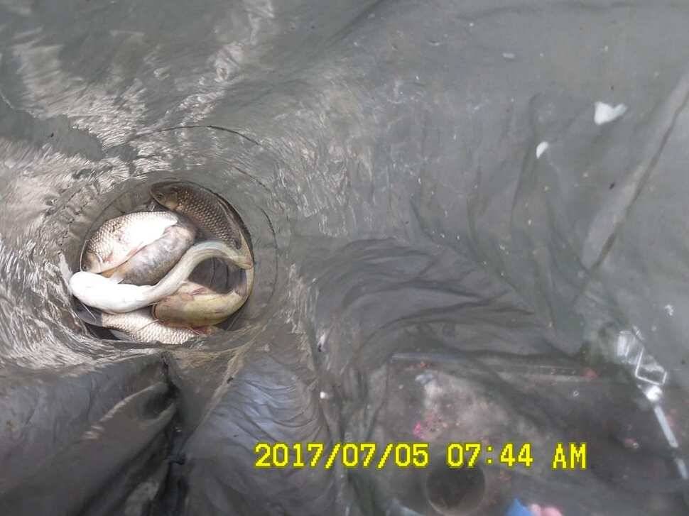 반제낚시터 4짜소식 어제도 오늘도 (유료터정보 - 유료터점주조황)