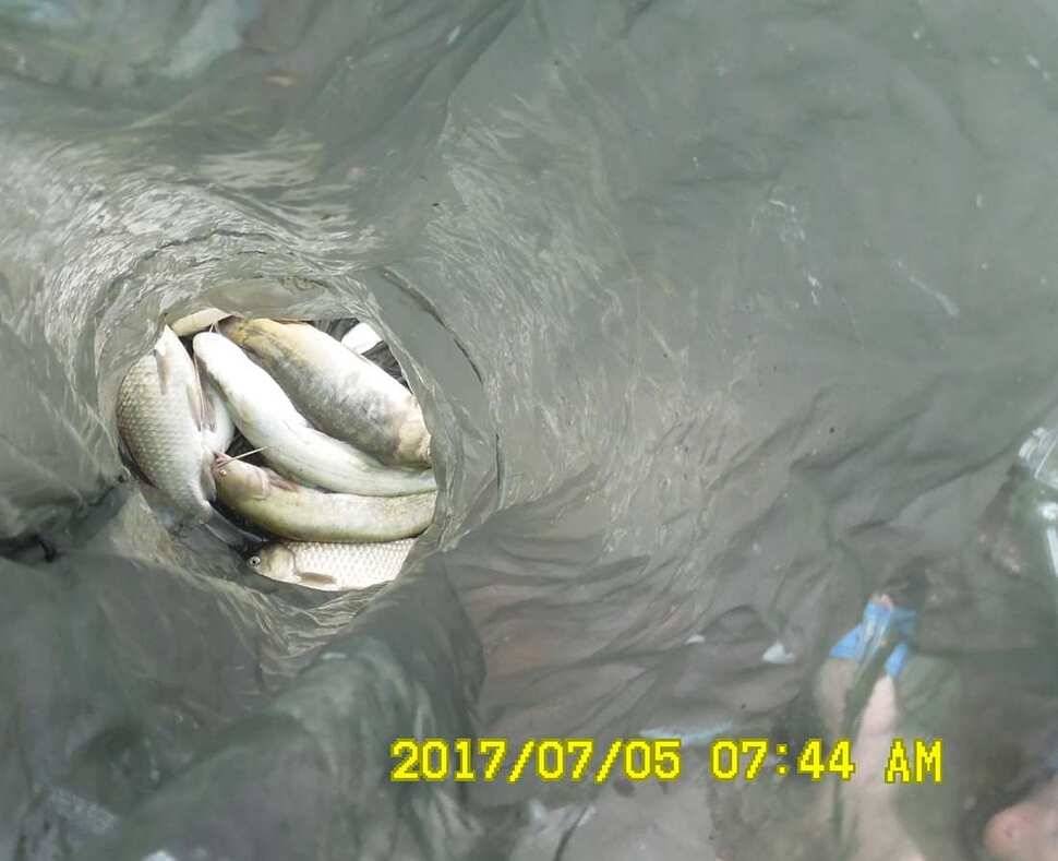 반제낚시터 4짜소식 어제도 오늘도 (유료터정보 - 유료터점주조황)
