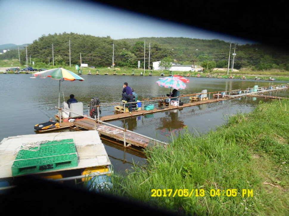 경주 동산낚시터 지난주 조황 (유료터정보 - 유료터점주조황)