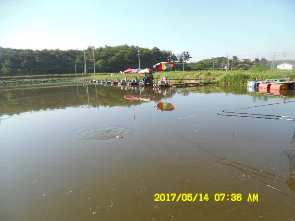 경주 동산낚시터 지난주 조황 (유료터정보 - 유료터점주조황)