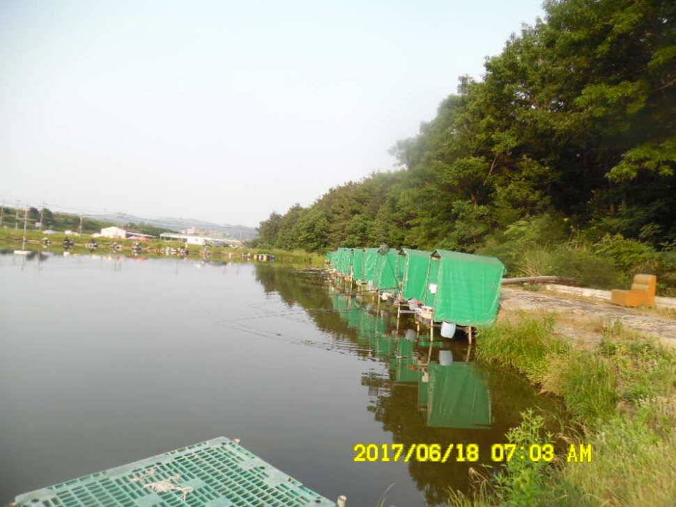경주 동산낚시터 초보조사님이 대형사고를 (유료터정보 - 유료터점주조황)