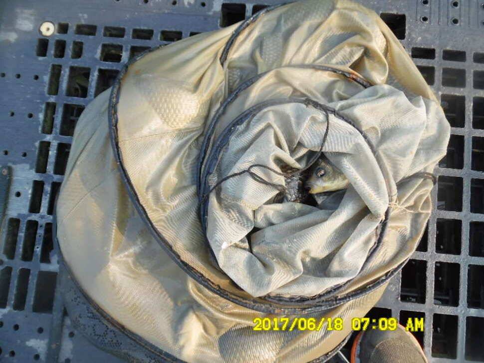 경주 동산낚시터 초보조사님이 대형사고를 (유료터정보 - 유료터점주조황)