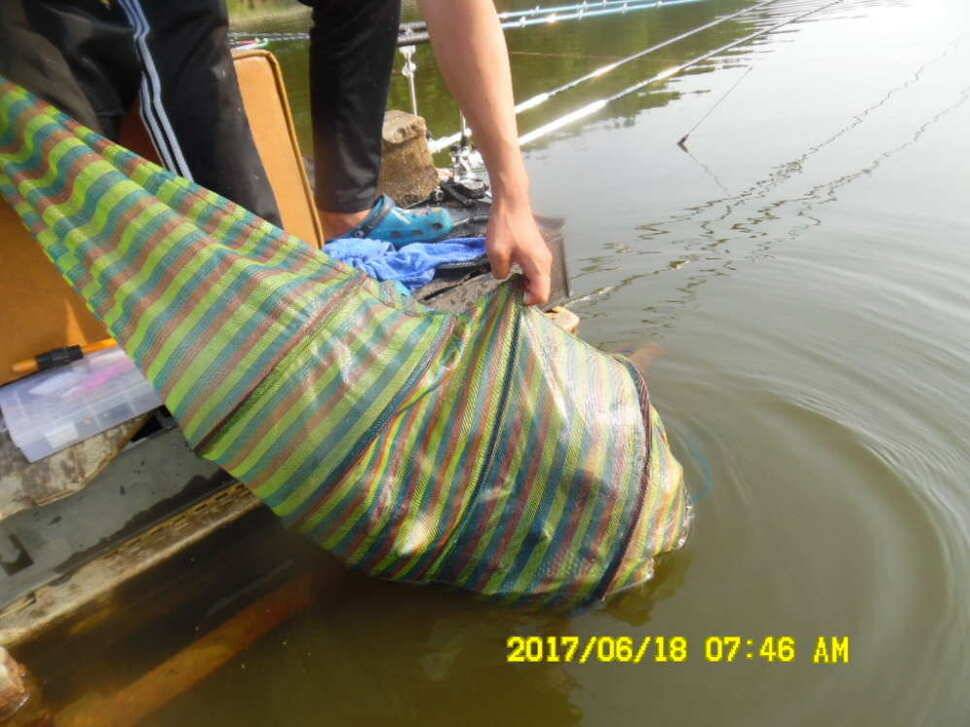 경주 동산낚시터 초보조사님이 대형사고를 (유료터정보 - 유료터점주조황)