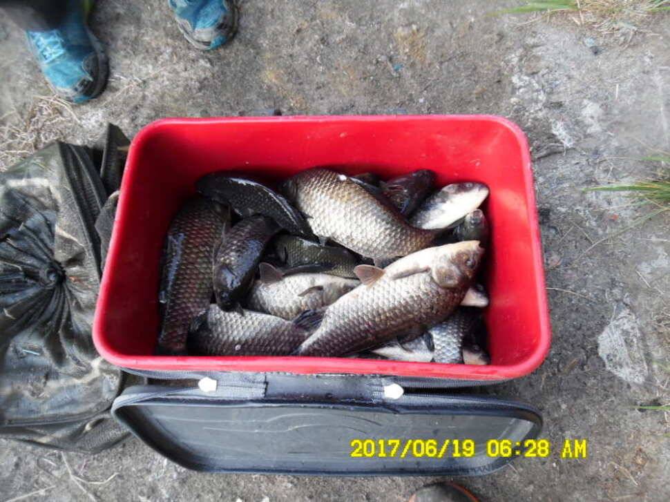 경주동산낚시터에서 초보조사 두분이 각100수 이상 (유료터정보 - 유료터점주조황)