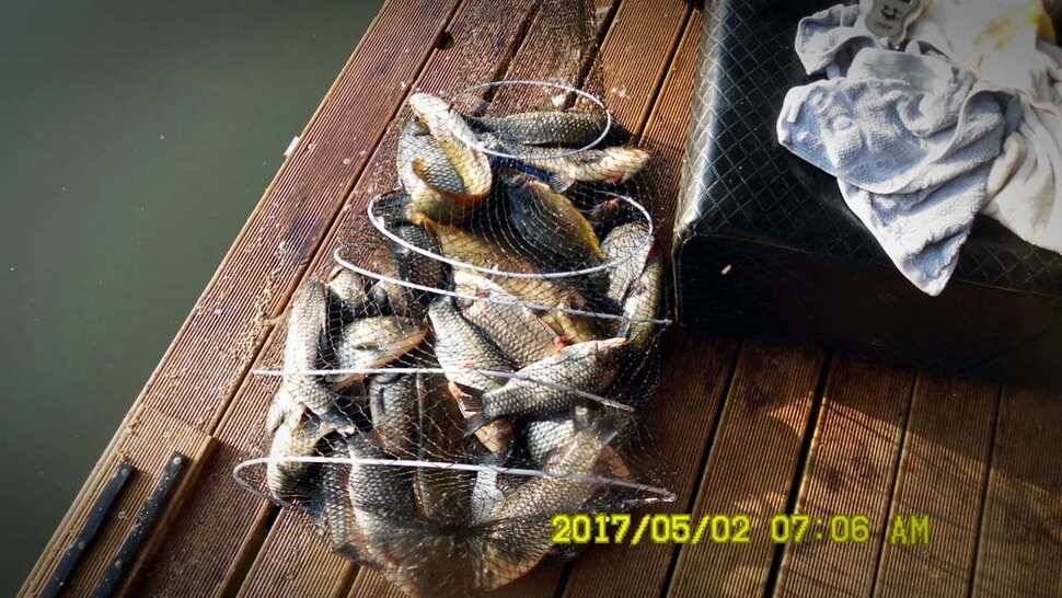 반제지 대박영상과 주말조황정보 (유료터정보 - 유료터점주조황)