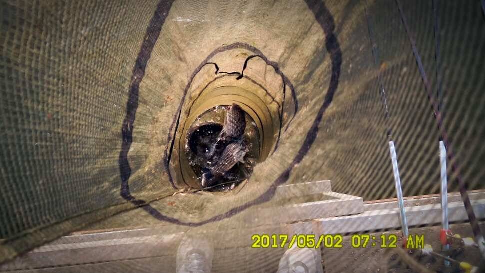 반제지 대박영상과 주말조황정보 (유료터정보 - 유료터점주조황)
