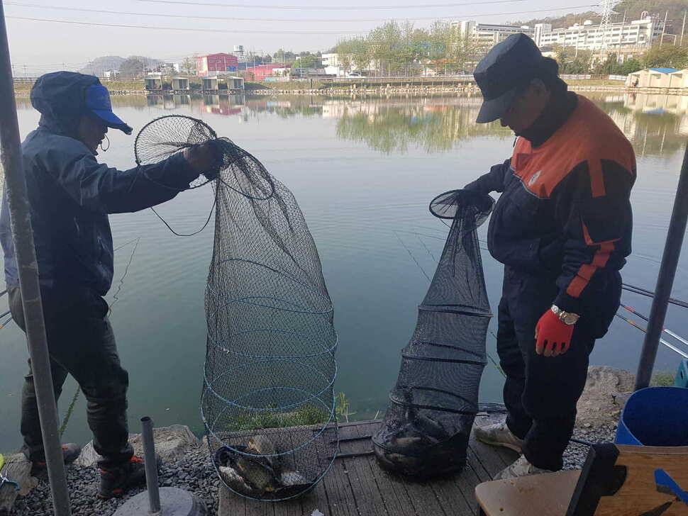 경기도 안성 거청낚시터 붕어조황 4월 27일 (유료터정보 - 유료터점주조황)