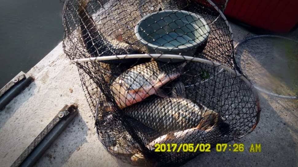 반제지 대박영상과 주말조황정보 (유료터정보 - 유료터점주조황)