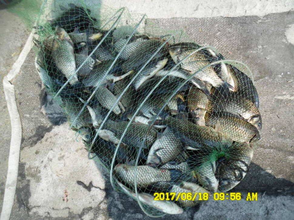 경주 동산낚시터 초보조사님이 대형사고를 (유료터정보 - 유료터점주조황)