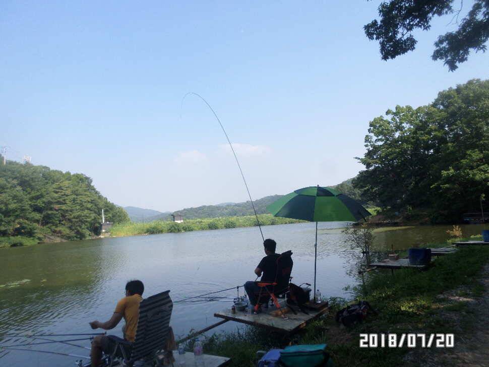 아산신수지 넷째 주중 화보입니다 (유료터정보 - 유료터점주조황)