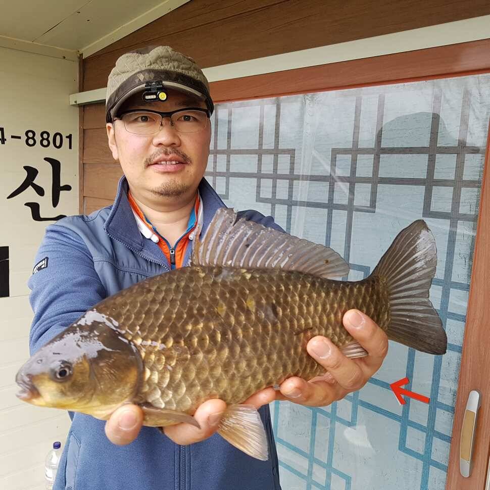 특별한 포인트 (유료터정보 - 유료터점주조황)