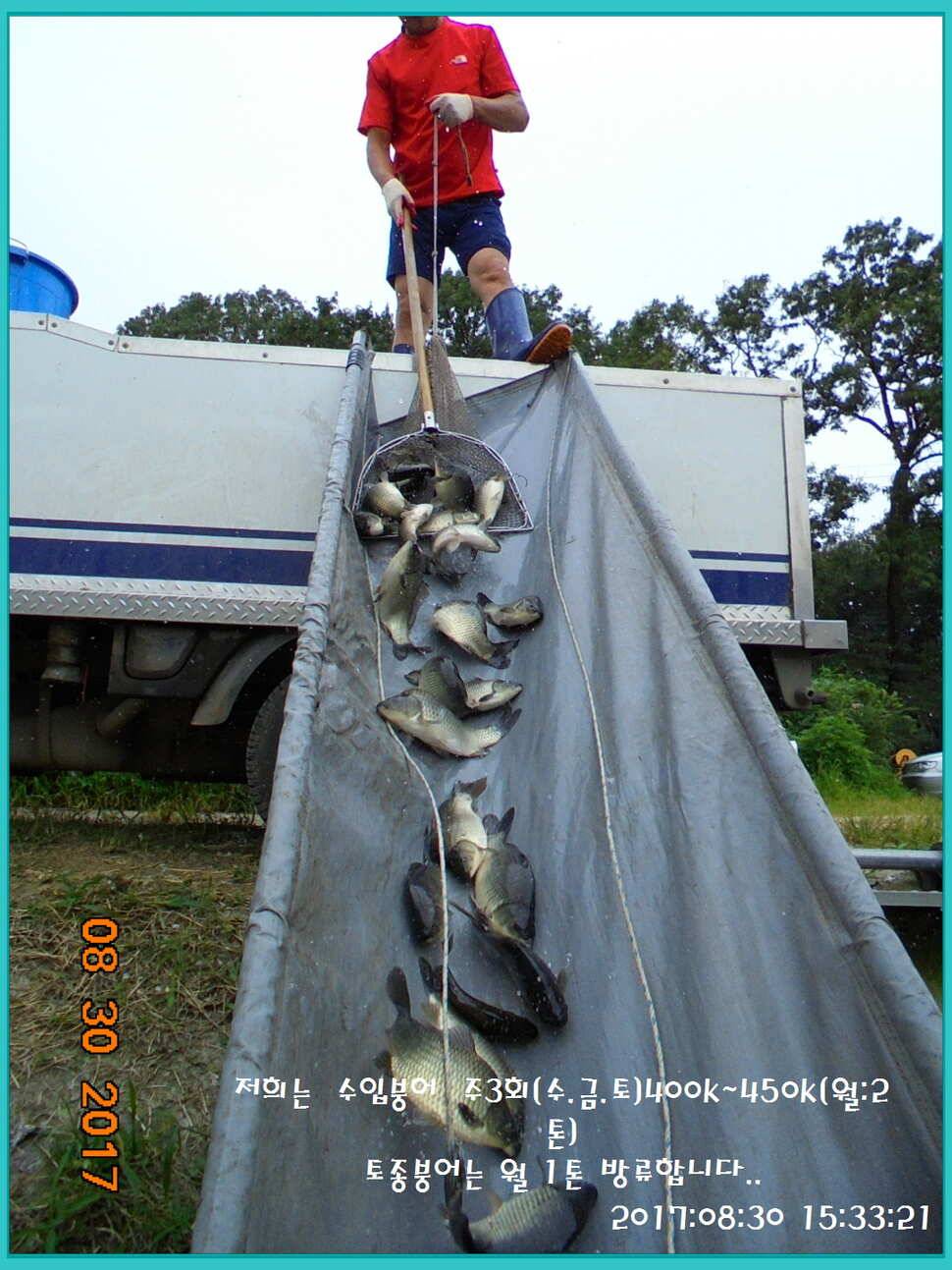 도심속의 작은 쉼터 화성 관리 낚시터입니다 (유료터정보 - 유료터점주조황)