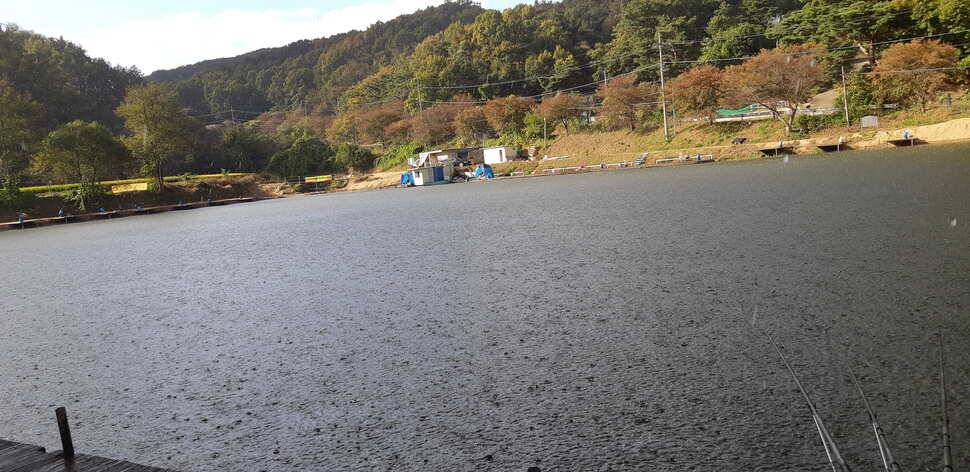안성회암지조항 입니다 (유료터정보 - 유료터점주조황)