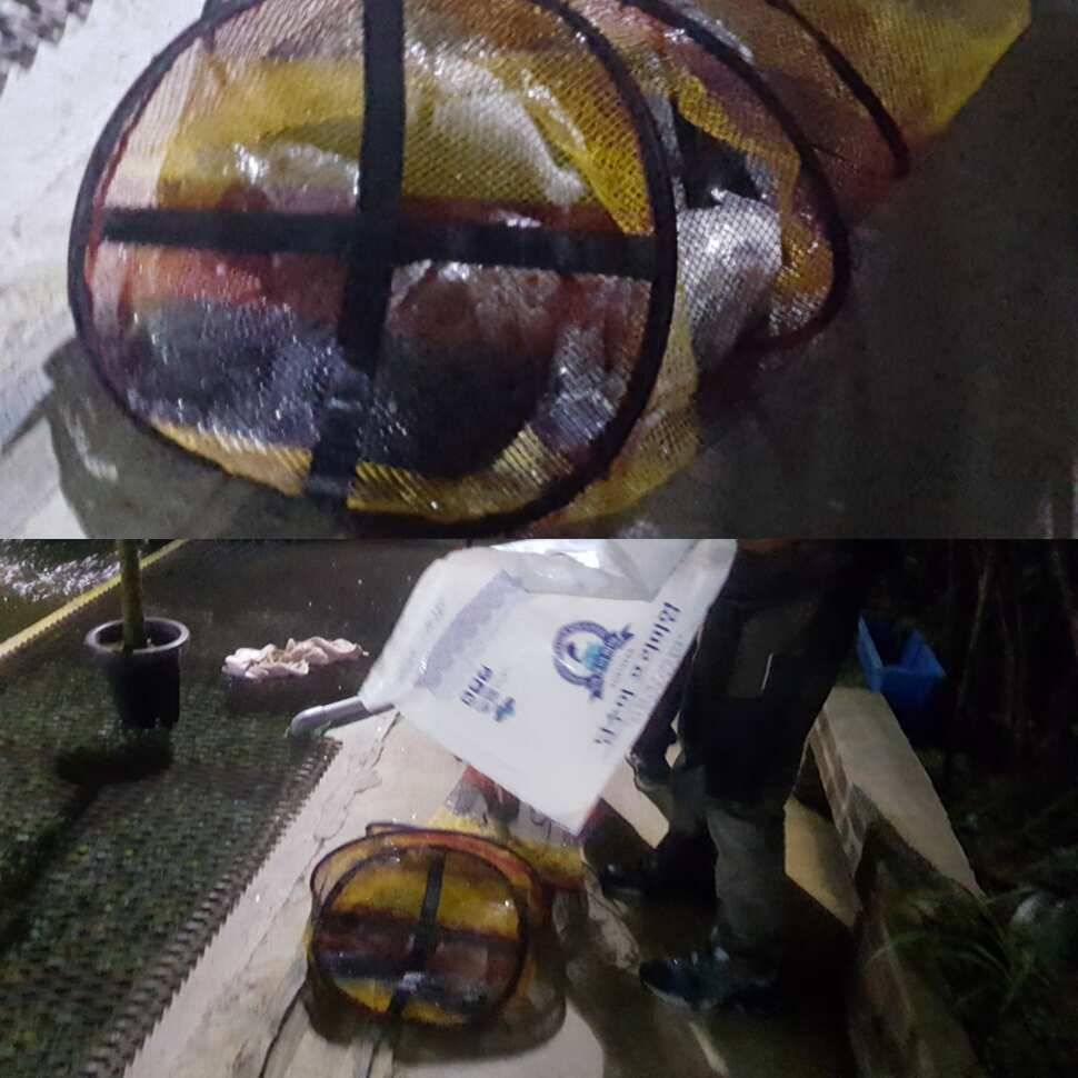 한사코 (유료터정보 - 유료터점주조황)